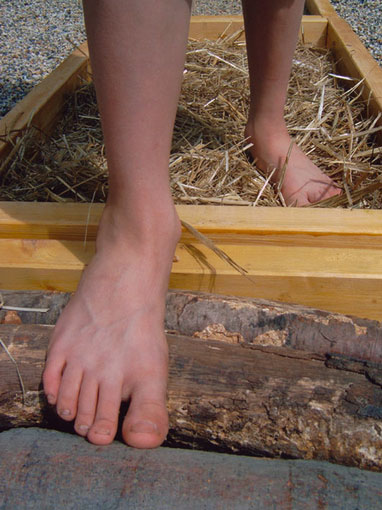 Erfahrungsfeld Kassel